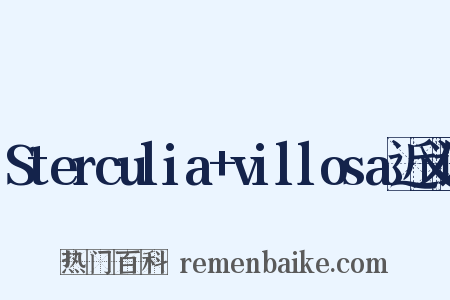 Sterculia+villosa近义词是什么意思的图片
